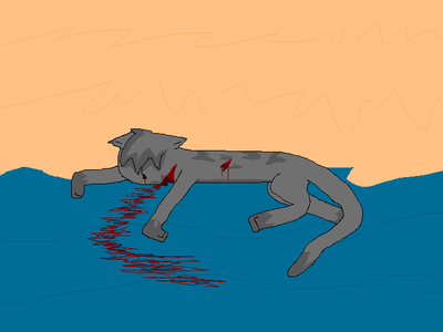 What cat killed was killed Hollyleaf?