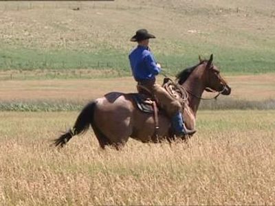 When trotting, Western riders will sink deep into the saddle and move with the horse. What do English riders do to cope with this?