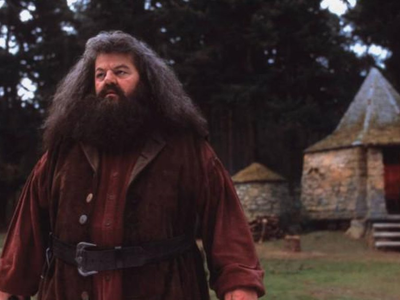 Hagrid's giant half-brother was named: