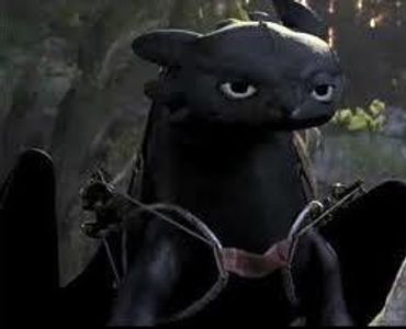 How did Hiccup get Toothless back after his dad caught him?