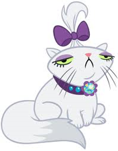 What is the name of Rarity's cat?