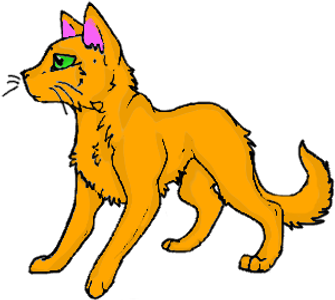 What was Fireheart(star)'s kittypet name?