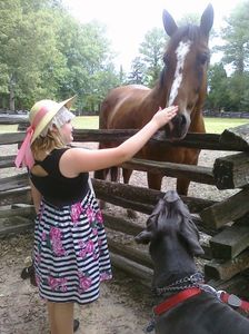 What horses are featured on her page?