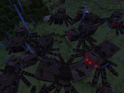 How many spiders are there