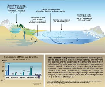 What is the primary cause of global sea-level rise?