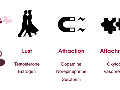 Which hormone is most commonly associated with love and bonding?