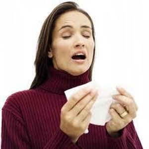 When you sneeze, all body functions stop, including the heart. True or false?