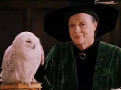 WHICH OF VERY TALENTED BRITISH ACTRESSES PLAYED PROFESSOR MCGONNAGOL WHO HAS APPEARED IN HARRY POTTER RIGHT FROM THE START OF THE SERIES PLAYING HOGWARTS TRANSFIGURATION PROFESSOR AND ALSO HEAD OF GYFFINDOR HOUSE?