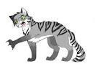 Who was Tigerstar's mentor?