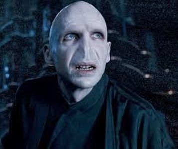 WHICH WELL KNOWN BRITISH ACTOR PLAYED VOLDEMORT WHO FIRST APPEARED IN HARRY POTTER AND THE GOBLET OF FIRE PLAYING A VERY EVIL DARK WIZARD WHO IS DETERMINED TO HUNT DOWN HARRY POTTER AND KILL HIM?