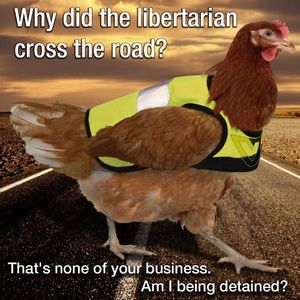 Complete this classic one-liner joke: 'Why did the chicken cross the road?'