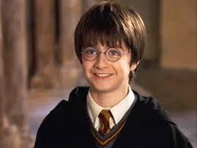 During the Harry Potter series different types of magical creatures of helped Harry in some way,what type of magical creature helped Harry out of trouble in Harry Potter and the Chamber of Secrets?