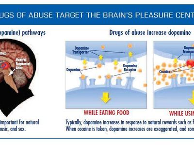 What are some potential long-term effects of cocaine use?