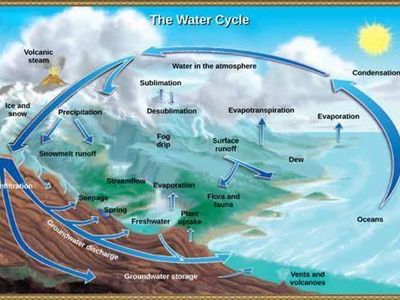 What is the main factor driving the water cycle?