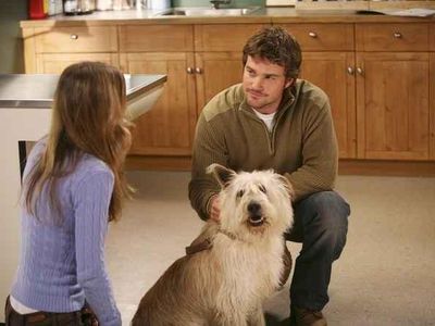 What was the name of Meredith's dog?