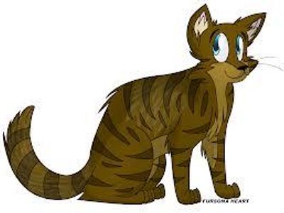 Name a medicine cat who dosen't believe in StarClan