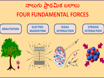 Which of the following is not one of the fundamental forces of nature?