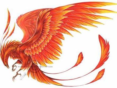 What is a phoenix known for?