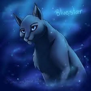 How did Bluestar lose her final life?