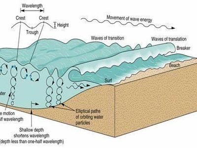 What is the term used to describe the natural shape of a breaking wave?