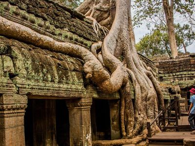 Which Asian country is famous for its ancient temples and biking tours in Siem Reap?