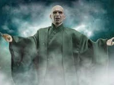 Voldemort's nicknames? Choose 2.