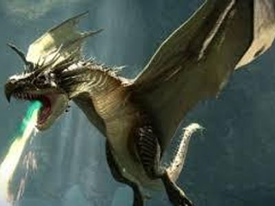 which of the dragons did harry have to collect the golden egg from in the first task of triwizard tournament ?