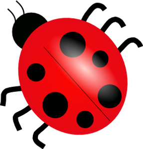 How many spots does a ladybug have