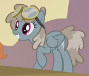 This pony?