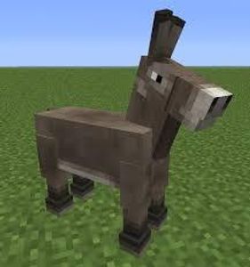 Can Donkeys Wear Armour?