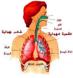 ما اسم الجهاز الموضح امامك ؟