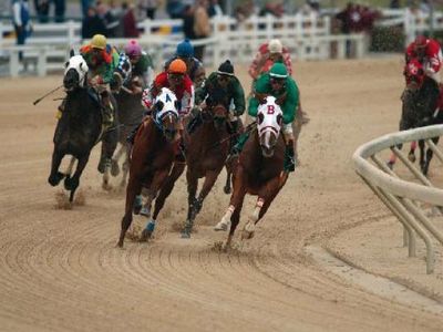 What breed races at big races such as the Belmont Stakes?