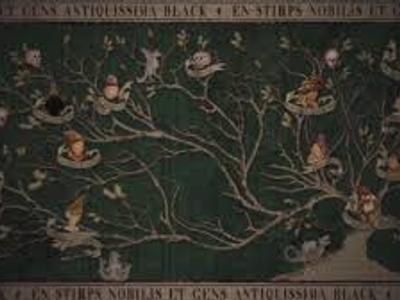 In Harry Potter and the Order of the Pheonix, what happened to Sirius Blacks picture on the Black family tree tapestry?