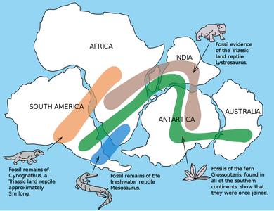 What is the alternative name given to the theory of 'Continental Drift'?