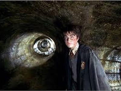 Which type of magical creature comes to Harry Potters rescue in Harry Potter and the Chamber of Secrets?