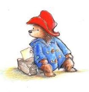 What color wellington boots did Paddington Bear wear ?