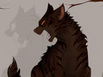 1.Which cat asked to be allowed to hunt on other clans territory, or they would drive the other cats out.