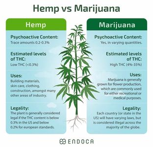 'Hemp' and 'marijuana' are both varieties of the Cannabis sativa plant.