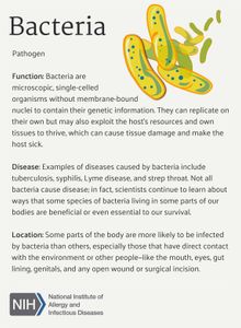 Which of the following is a disease caused by bacteria?