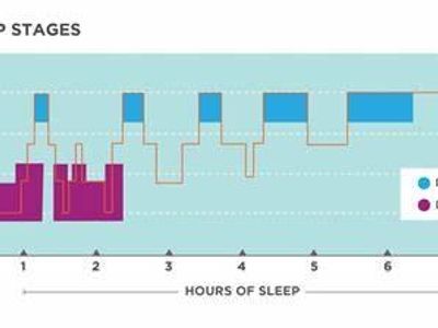 What is the term for a sudden, brief loss of muscle tone during sleep?