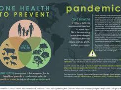 Which concept emphasizes the impact of disease on population distribution?