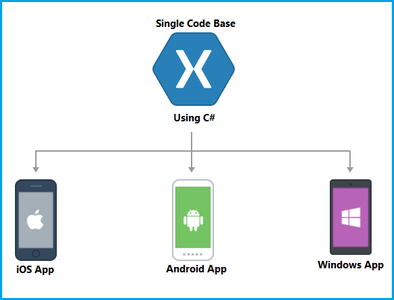 Which platform allows developers to build native iOS and Android apps from a single codebase?