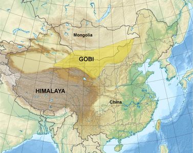 Which famous mountain range borders the Gobi Desert?