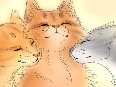 Who is NOT related to lionblaze