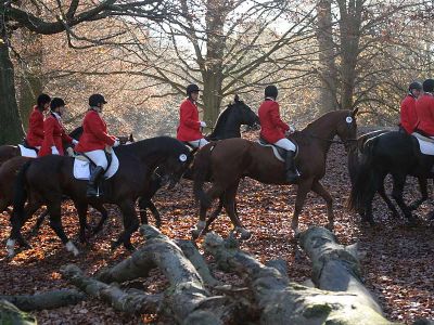 What colour are their coats/jackets ?