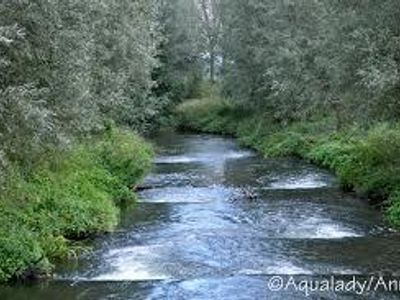 You are being chased. You reach a river too wide to jump across. What do you do?