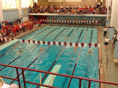 What is the maximum number of swimmers allowed in the World's Largest Swimming Pool at any one time?