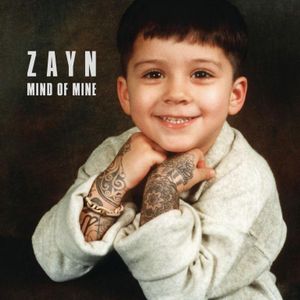 When was Zayn born?