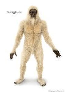 What is another common name for the Yeti?