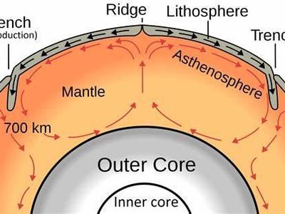 What is the term for the bending and tilting of rock layers caused by tectonic forces?